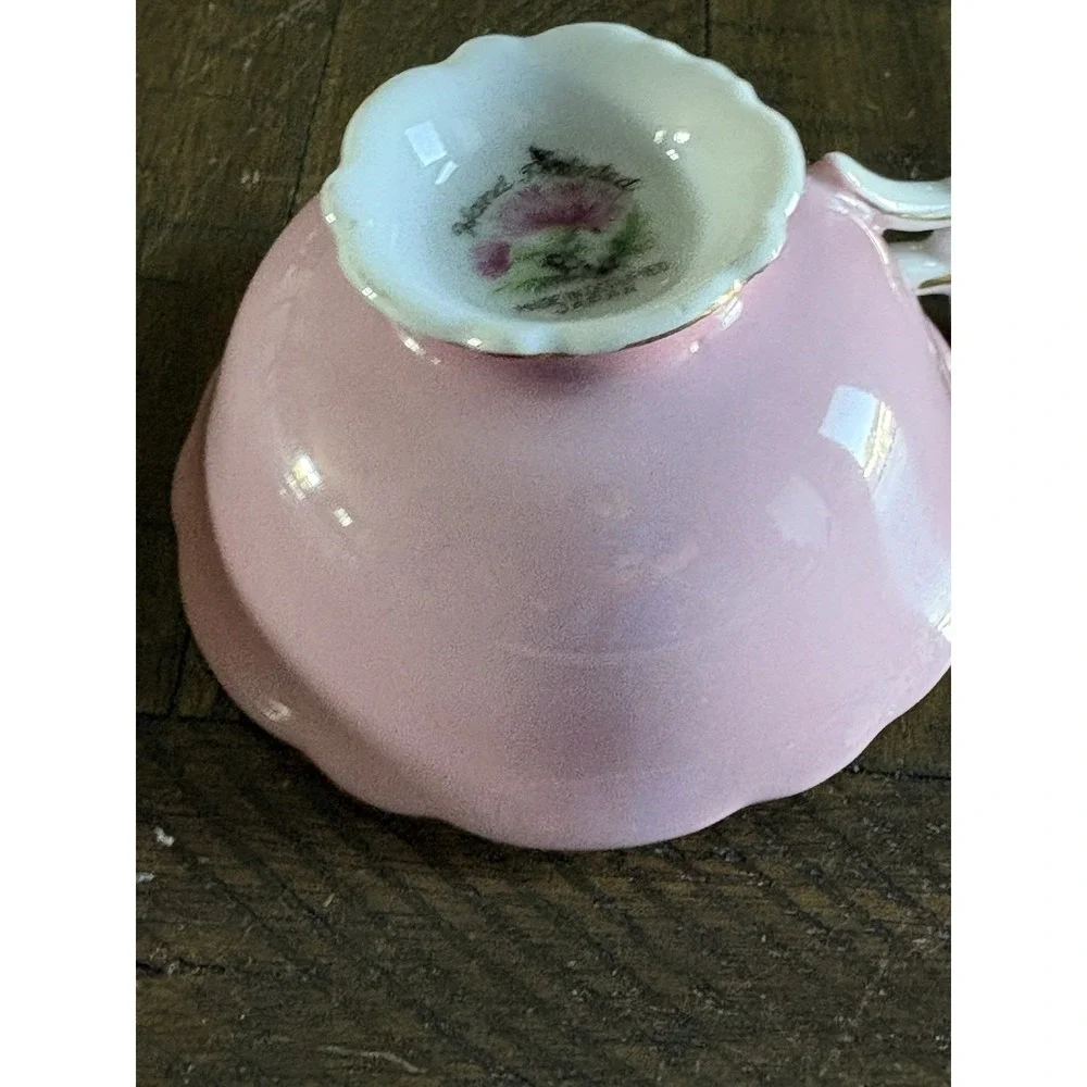 VTG Occupied Japan Hand Painted Pink Cereus Flower Gold Trim Teacup and Saucer